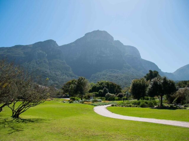 https://stokmansafaris.co.ke/wp-content/uploads/2018/08/post_capetown_04-640x480.jpg