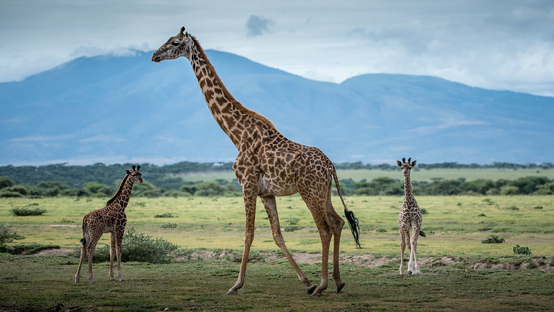 Lake Manyara