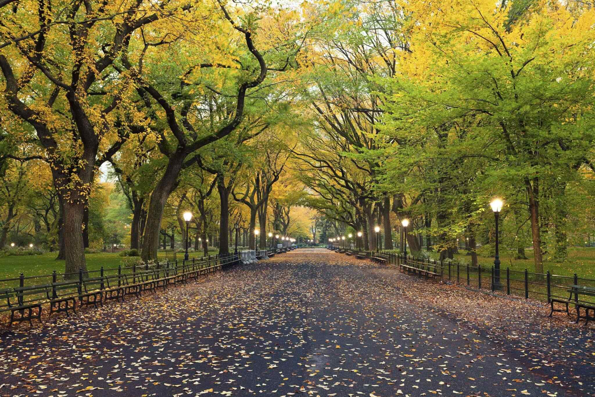 destination-new-york-02 https://stokmansafaris.co.ke/wp-content/uploads/2018/09/destination-new-york-02.jpg