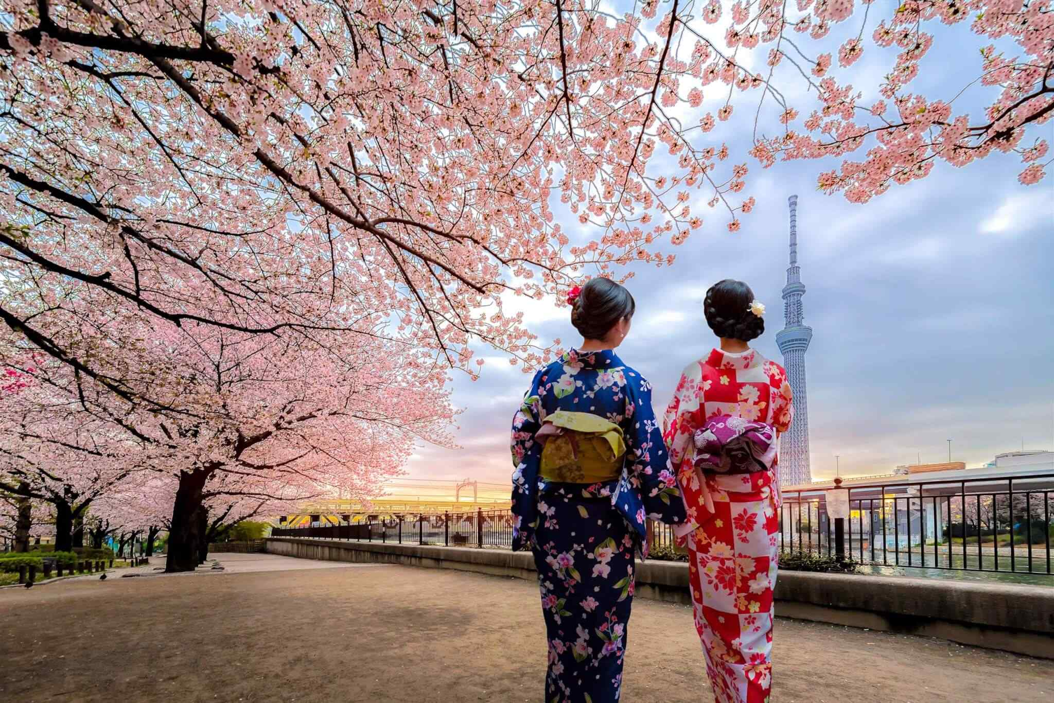 https://stokmansafaris.co.ke/wp-content/uploads/2018/09/destination-tokyo-03.jpg