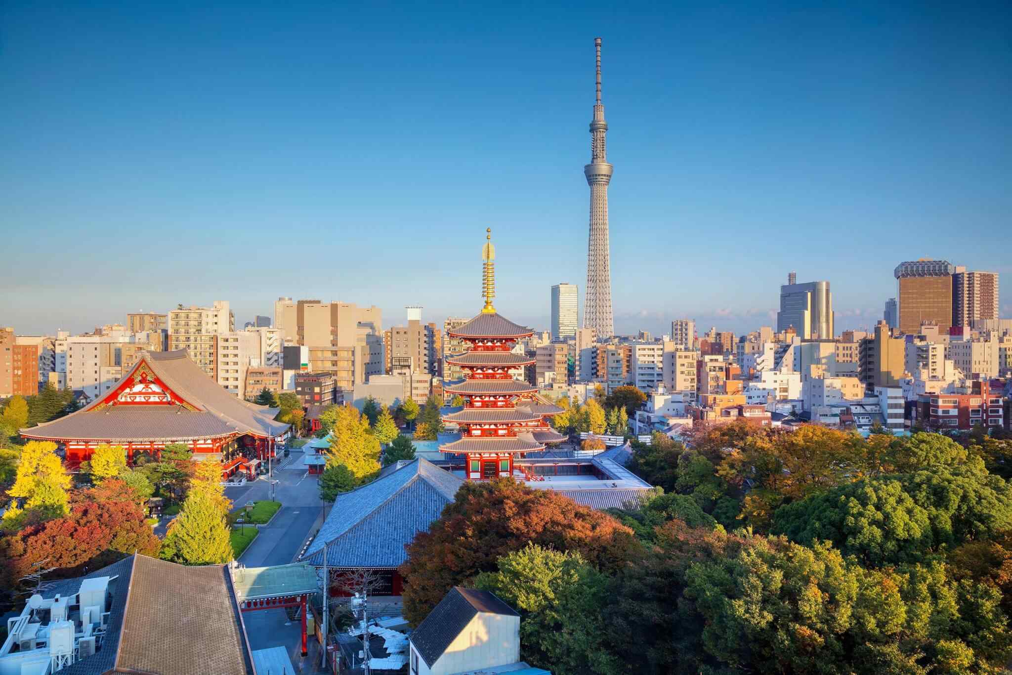 https://stokmansafaris.co.ke/wp-content/uploads/2018/09/destination-tokyo-04.jpg