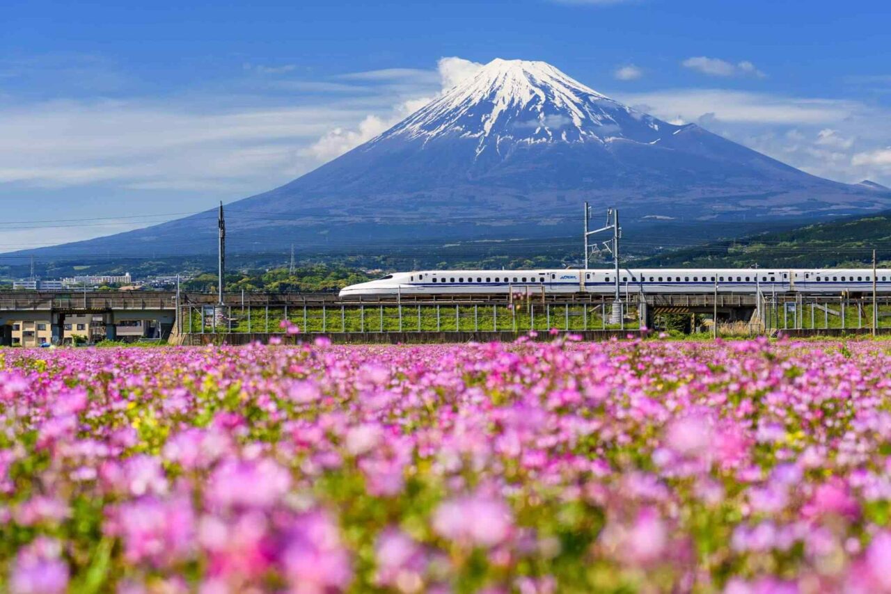 tour-osaka-04 https://stokmansafaris.co.ke/wp-content/uploads/2018/09/tour-osaka-04-1280x854.jpg