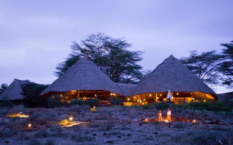 Tortilis Camp